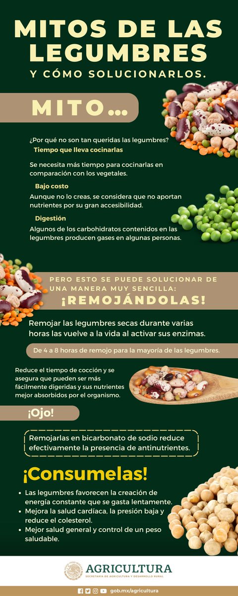 Agricultura_mex's tweet photo. Si no comías legumbres por sus efectos secundarios, hoy te traemos la solución. Basta con remojarlas en bicarbonato de sodio para acelerar su cocción y evitar la inflamación.

Te contamos más tips en nuestro blog de #AgriculturaMexicana: https://t.co/beRxHxVrK0 https://t.co/gWdouhVg5B