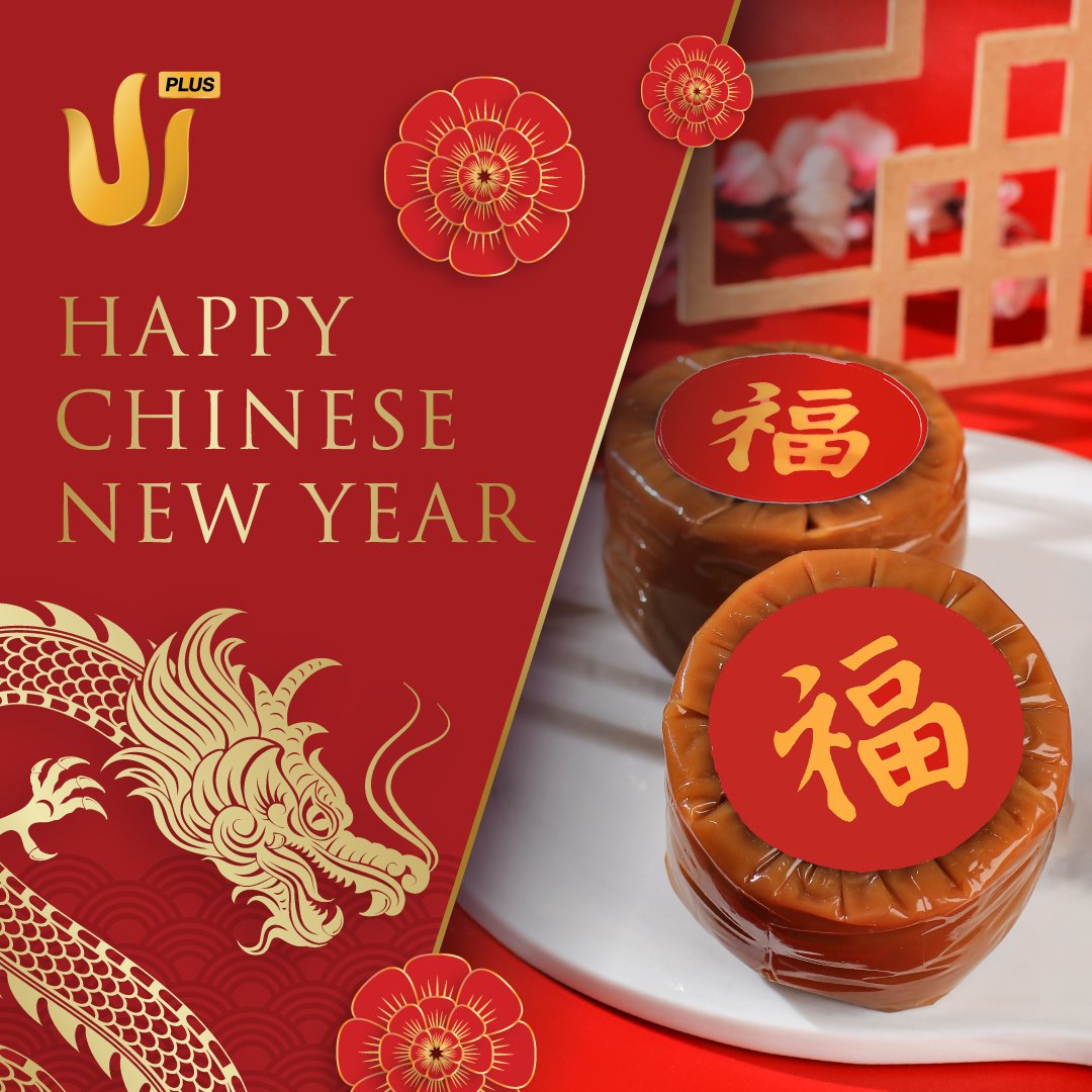 As the new year greets us, may the auspicious dragon grant you greater joy, courage, and wisdom for you to soar higher and reach greater success in life 🐉 Happy Chinese New Year!