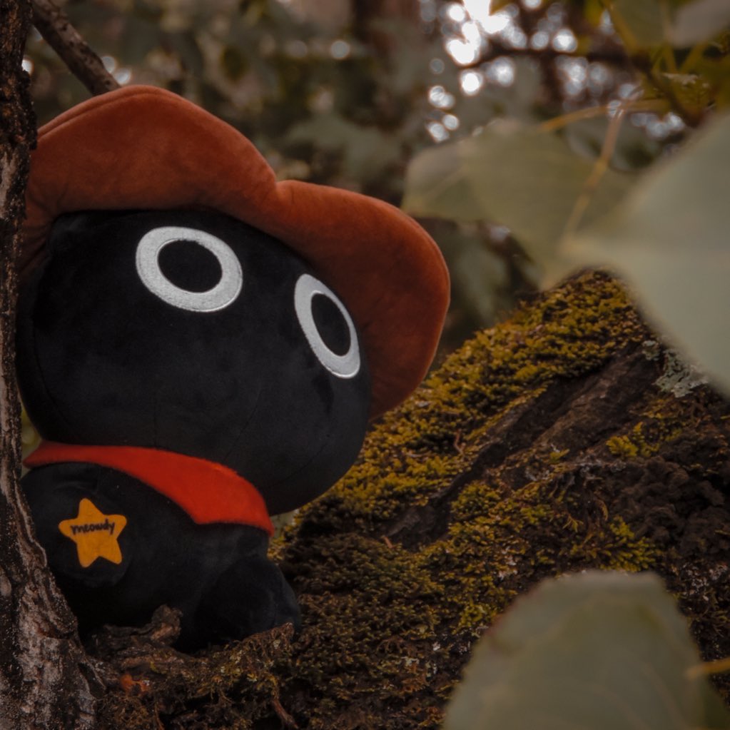 poorlycatdraw's tweet photo. meowdy plush will only be available for 3 more days!

come get yours pardner 🤠

https://t.co/Ykic9fIJuU https://t.co/RWlmjADdXn