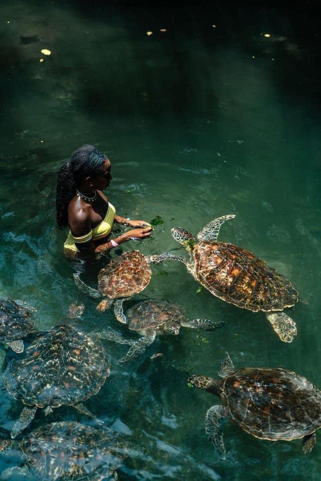 Jadayshaaa's tweet photo. Do y’all like animals enough to do this? https://t.co/0dtfe6qF0J