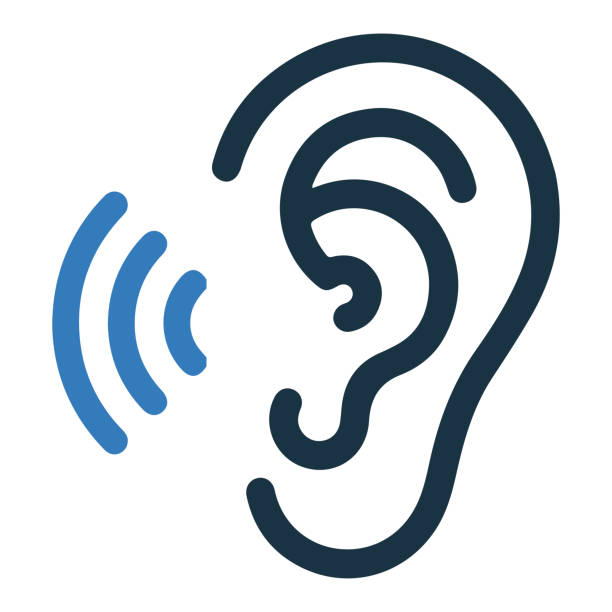 NorthStarAudio1's tweet image. Auditory Processing Disorder affects the way the brain processes auditory information. It is not a hearing loss, but it can make understanding speech difficult. #AuditoryProcessingDisorder #HearingHealth