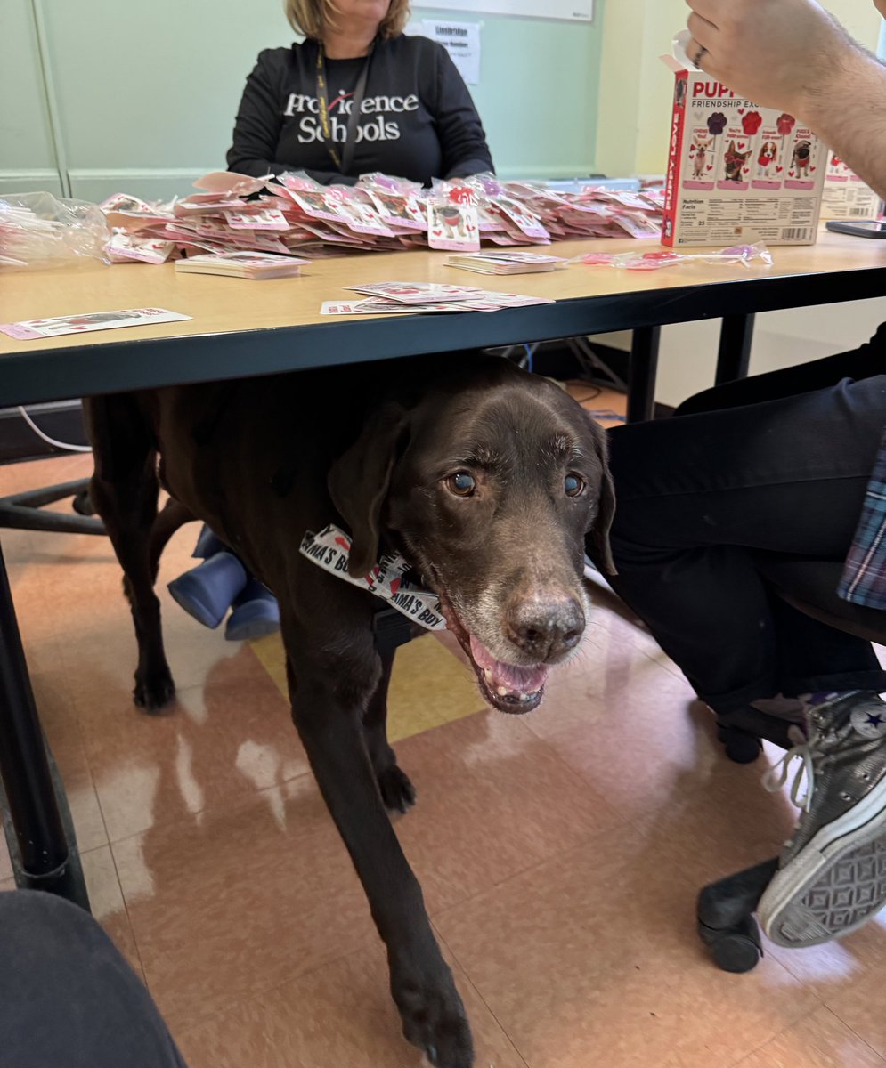 Fridays are Freddy’s favorite even when there is a fire drill! Today he prepped for next week! He may have a surprise for many of you!!  <a href="/CentralHSPvd/">CentralHSPvd Knights</a> <a href="/Fsalvadore10/">Francesca Salvadore, Ed. D</a> <a href="/reneemwalker1/">Nay Walker</a> <a href="/MRanglinVassell/">🇯🇲Marcia Ranglin-Vassell,M.Ed</a>
