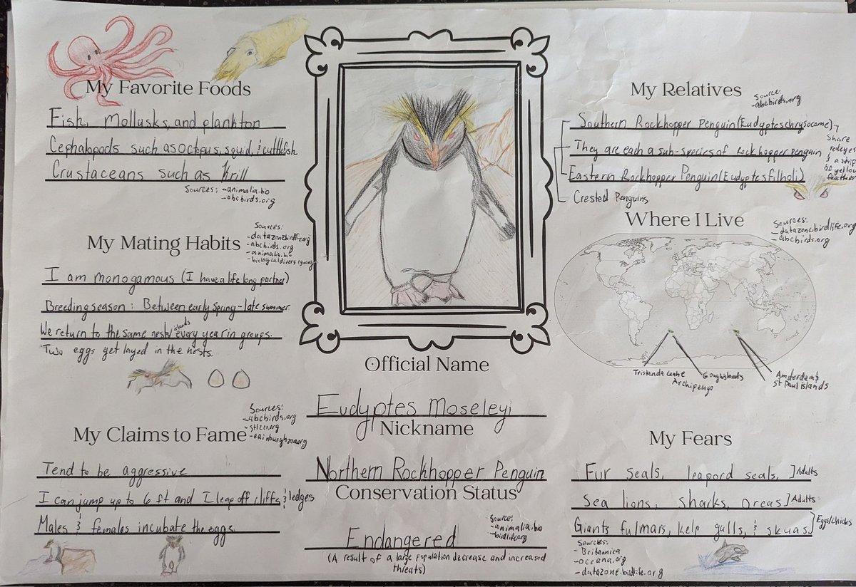 Students created some awesome personal penguin posters as we learn about the various species and their unique adaptations. #ourBMSA