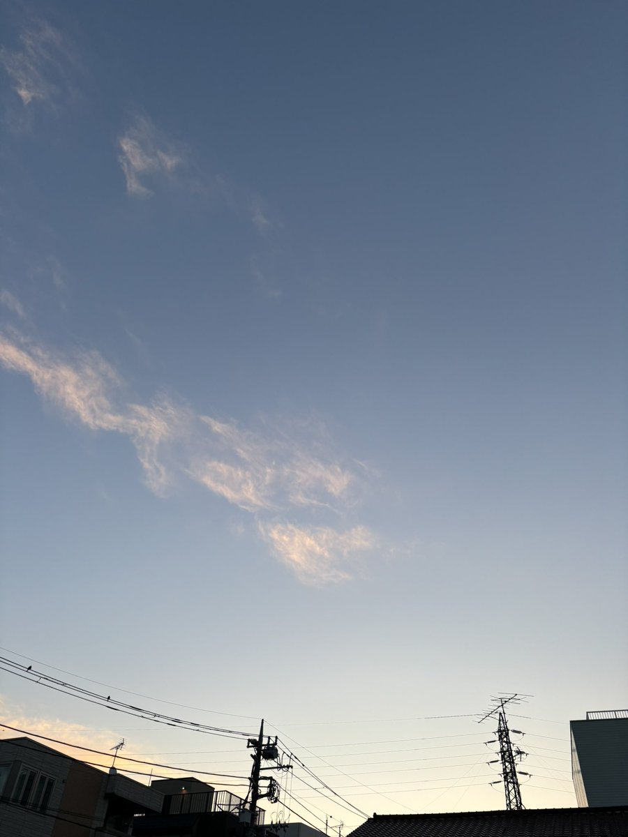 happy_spoonful's tweet photo. おはようございます☀️
今日は朝日を浴びながらの朝散歩🚶
ネコ氏もお散歩、じゃれつき遊びなどなかなかに忙しい朝活をした土曜日の朝☕️
お仕事の人も、お休みの人も
皆さまよき１日を😊
#朝活 
#イマソラ 
#朝散歩
#ウォーキング 
#猫のいる暮らし
#猫好きさんと繋がりたい
#ダイエット https://t.co/1h16xSKmGp