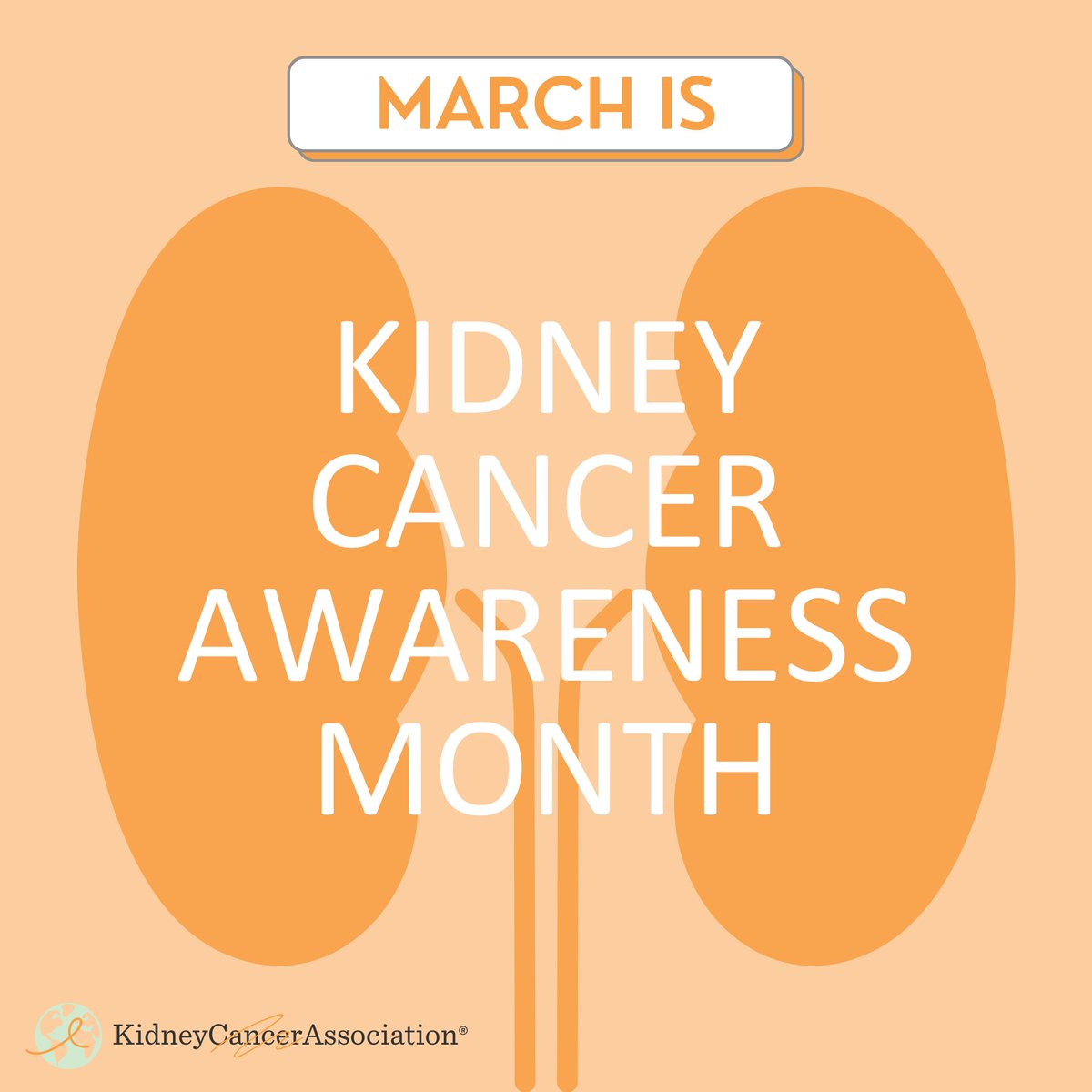 Less than a month 'til #KidneyCancerAwarenessMonth kicks off in March!!! Join us as we raise awareness, share stories of resilience, and #OrangeUp! kidneycancer.org/kidney-cancer-… Follow along, share, or comment how you plan to get involved. 🧡⤵️