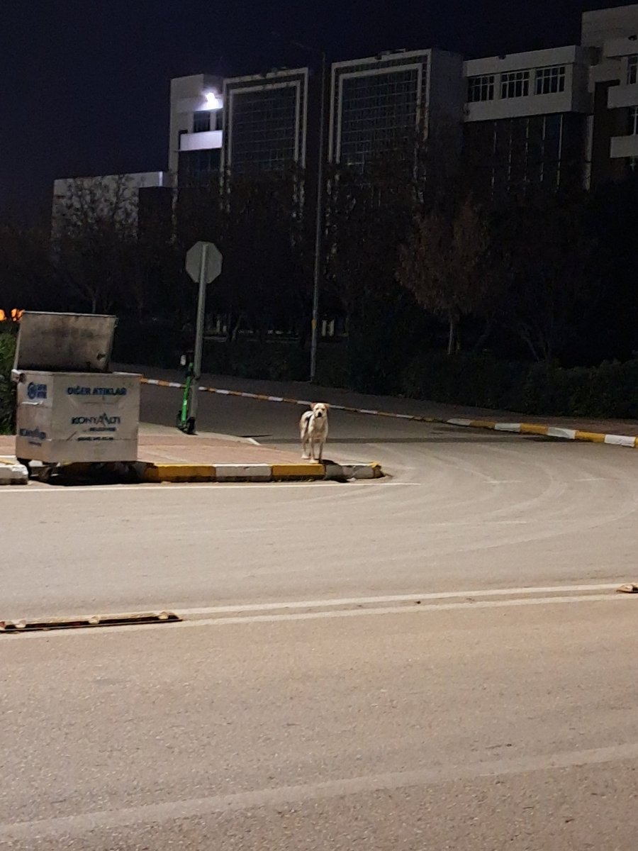 alialpyasar_'s tweet photo. Ayrılık vakti https://t.co/nC4K31LpXB