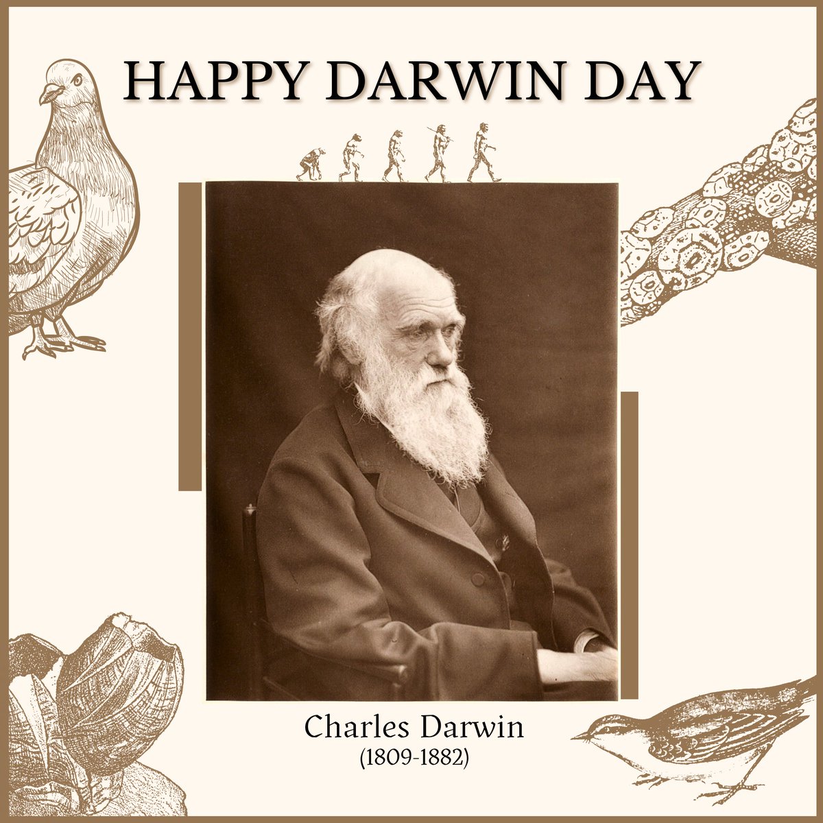 Happy #DarwinDay! Charles Darwin was a Victorian naturalist best known for his publication “On the #OriginofSpecies by Natural Selection” (1859). Insatiably curious, he studied everything from barnacles to pigeons to bees. Today, he is considered the father of #evolutionarytheory