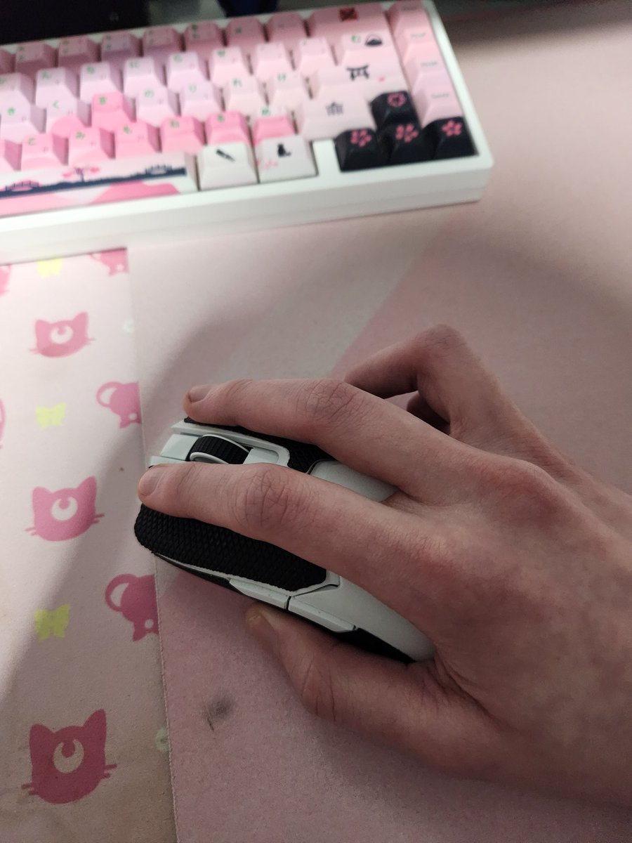 Sabine 🏳️‍⚧️ 🏳️‍🌈 :3 tweet media