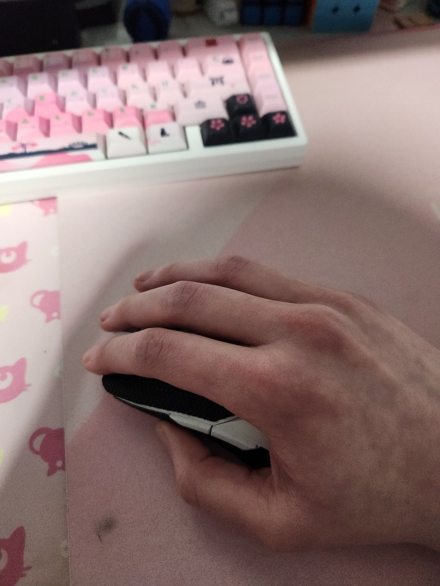 Sabine 🏳️‍⚧️ 🏳️‍🌈 :3 tweet media