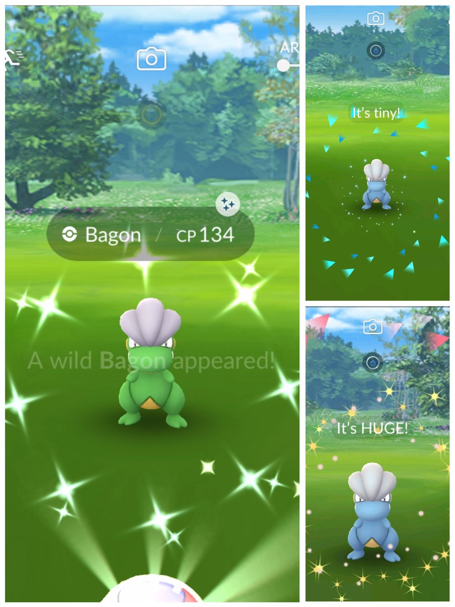 trainer_novice's tweet photo. Hat Trick π
#PokemonGO #ShinyCheck
#tinycheck #HUGEcheck https://t.co/AAEVYg3kSN