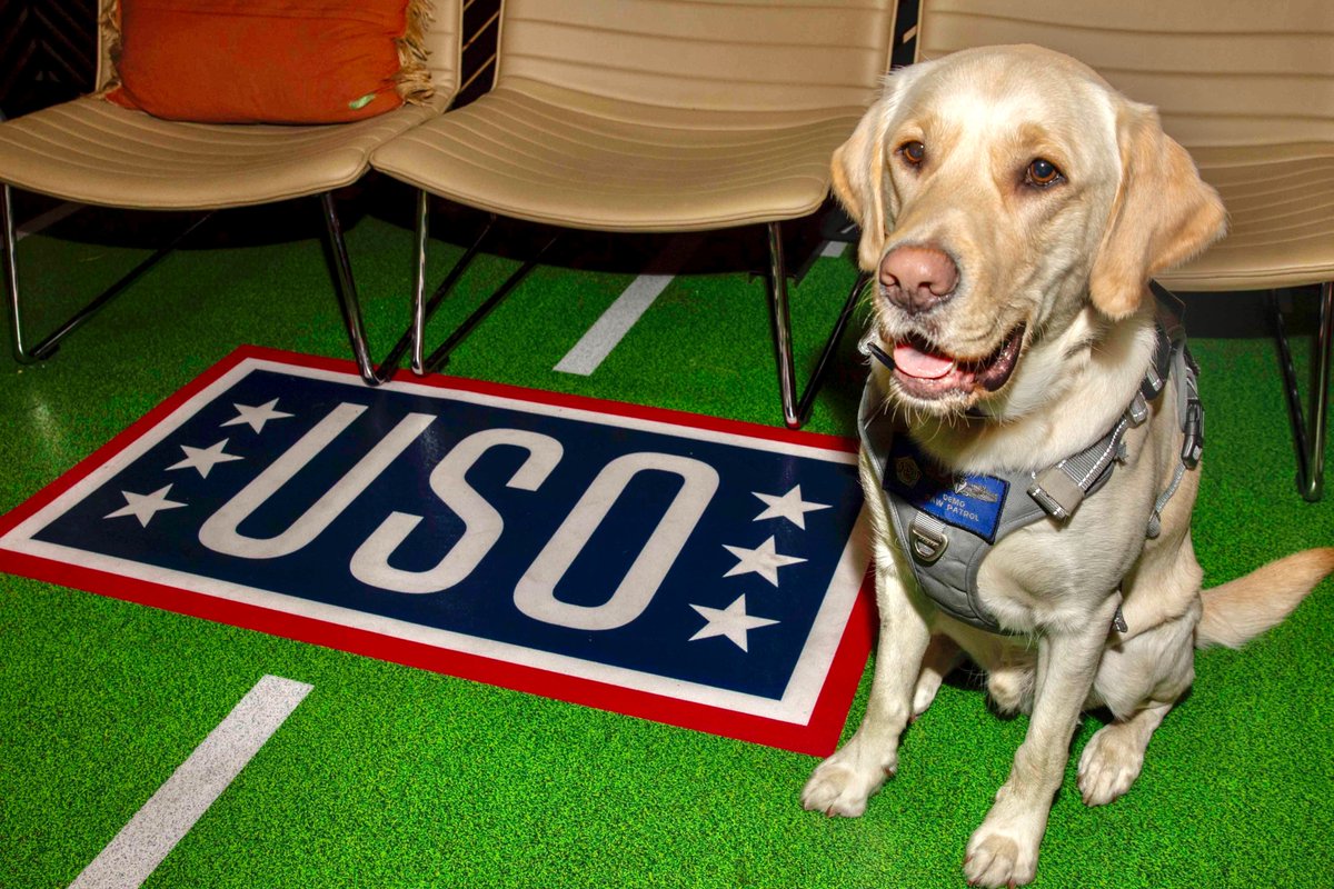 TheCVN69's tweet photo. Capt. Demo reporting for duty in the ship's USO lounge. ๐ซก ๐ถ
#MightyIKE is operating in the
@us5thfleet area of operations to support maritime security and stability in the Middle East region. #MuttsWithAMission #GreaterEachDay https://t.co/fdKvSL0nC6