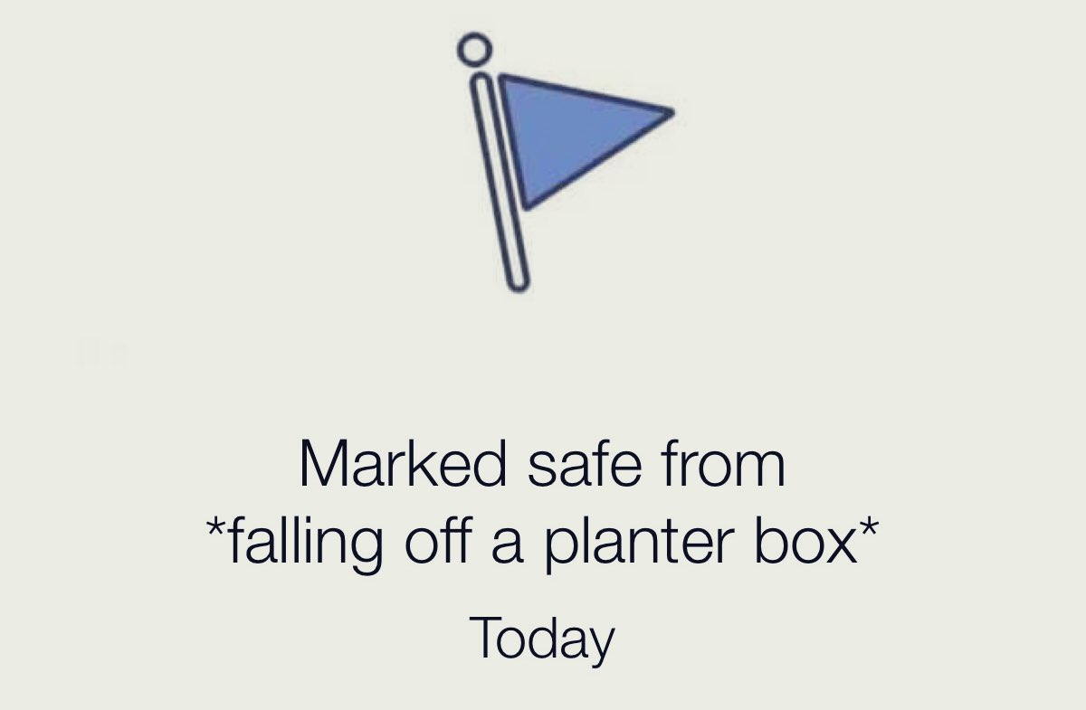 TomRed43's tweet image. To be fair, it’s still mid morning here. 
#BarnabyJoyce #auspol #PlanterBox