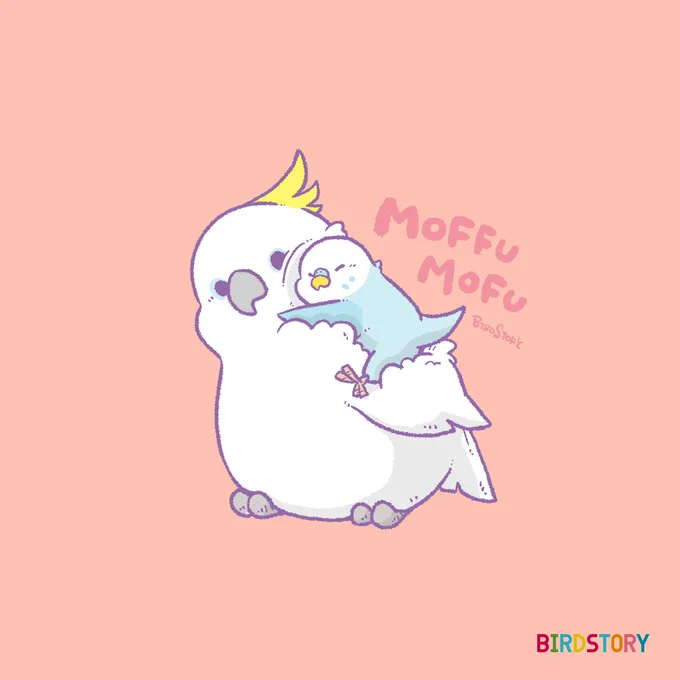 おはようございます。本日は2月10日、語呂合わせから、ふとんの日とのことです#BIRDSTORY #ふとんの日 #キバタン #セキセイインコ 