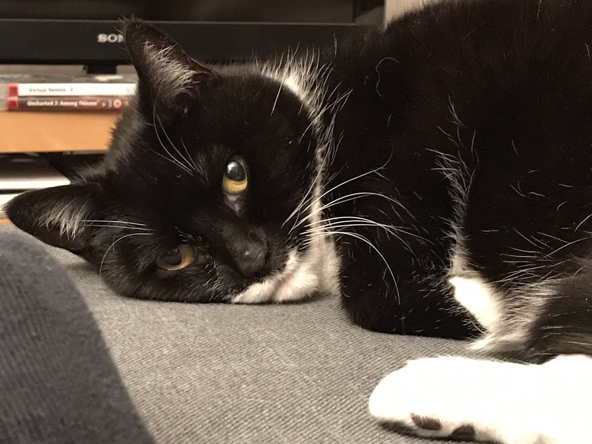 I have a delightful cat, but she isn’t great when things aren’t the same as usual. Therefore I am in bed earlier than I would have been because it is easier.