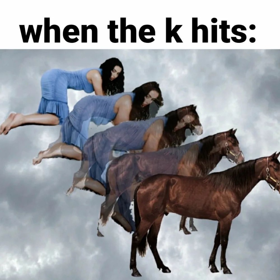 HIFN memes (@hifnmeme) on Twitter photo 