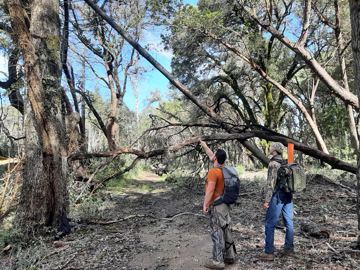 LandTrustSantaCruz (@landtrustscc) on Twitter photo San Vicente Redwoods will reopen tomorrow, February 10th! The Yu-Kis (Live Oak) trail will remain closed until hazard trees are removed. This closure impacts hiking and equestrian use. Please continue to check here for updates before planning your next visit! San Vicente Redwoods will reopen tomorrow, February 10th! The Yu-Kis (Live Oak) trail will remain closed until hazard trees are removed. This closure impacts hiking and equestrian use. Please continue to check here for updates before planning your next visit!