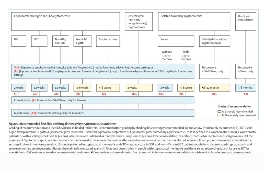 Antibiotic Steward Bassam Ghanem 🅱️C🆔🅿️🌟 tweet media