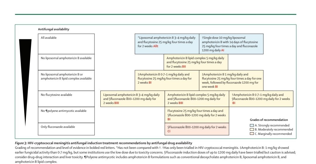 Antibiotic Steward Bassam Ghanem 🅱️C🆔🅿️🌟 tweet media