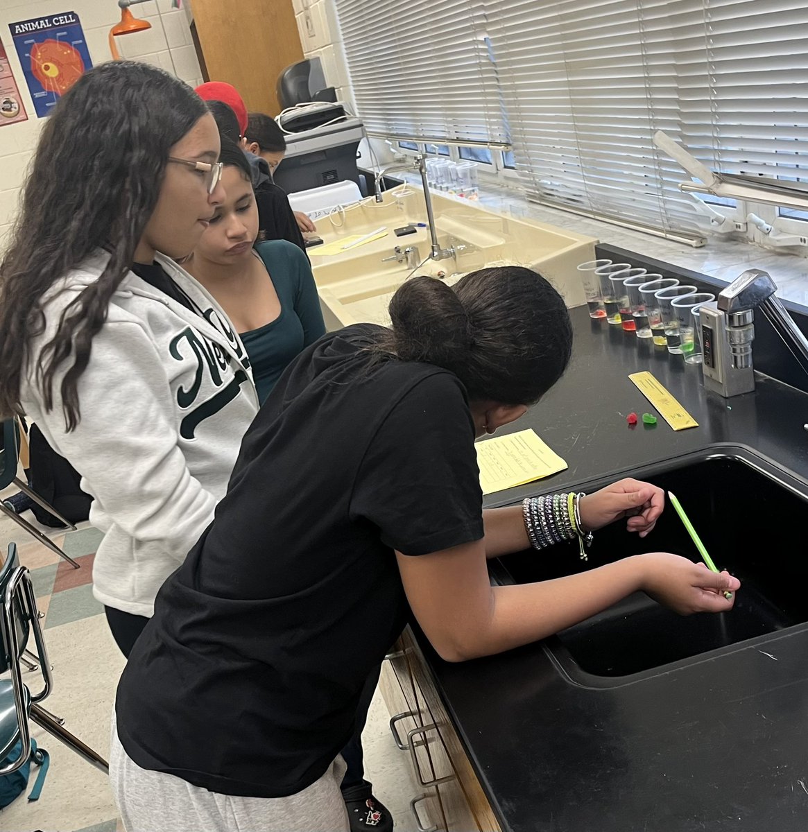 MrsPaulSCIENCE's tweet image. The best part of FINALLY being in the life science part of the curriculum is that I LOVE AND LIVE LIFE SCIENCE!!! My students are getting to experience my love of life science with all the hands on activities!! #VCSscience #homeostasis