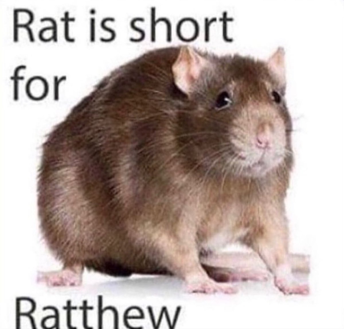 no context memes tweet media