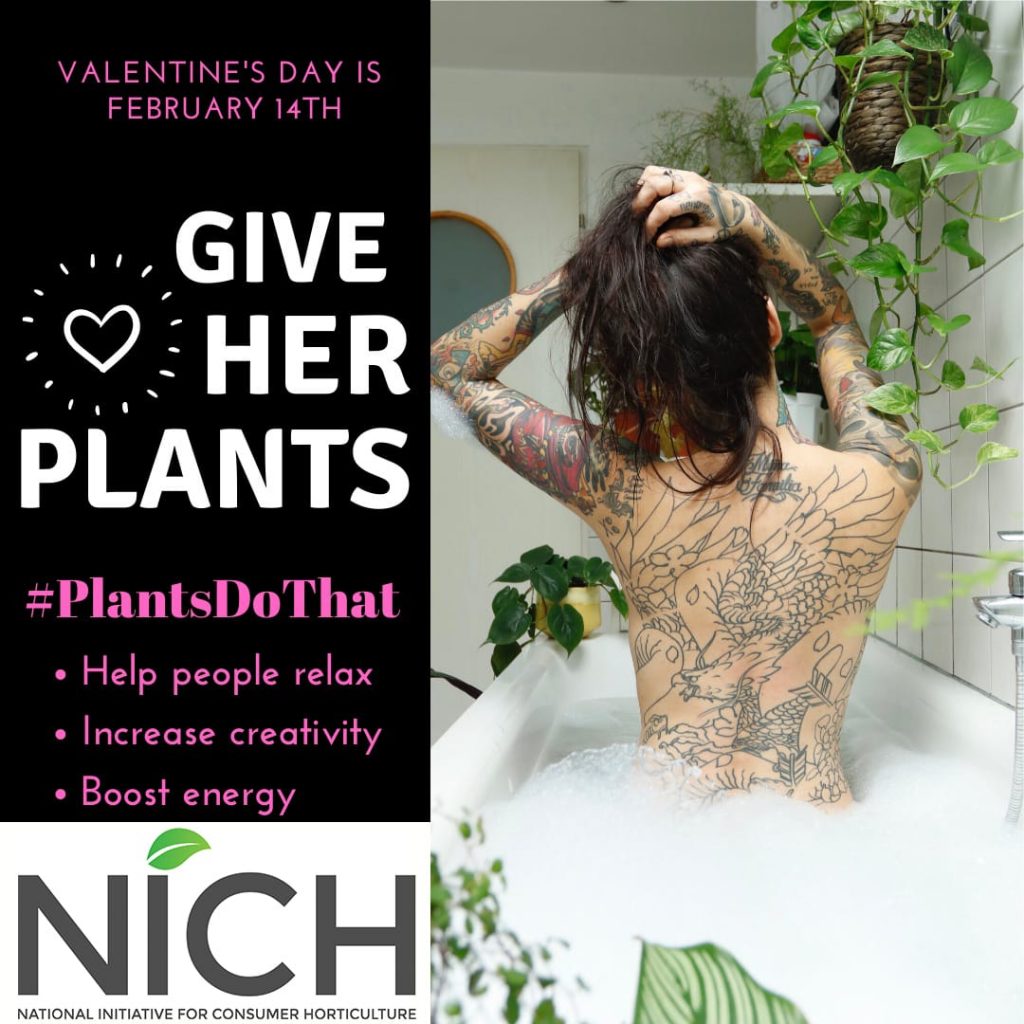 consumerhort's tweet photo. It's almost Valentine's Day. Give them plants!  
#plantsdothat
#plants 
#valentinesday2024 
#givethemplants
#ValentinesDay 
#giveherplants https://t.co/ToM62Fqzt7
