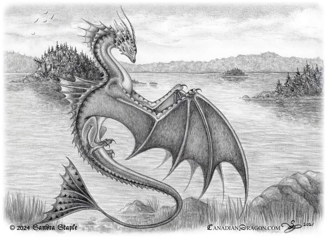 Thought I would share a fun little drawing I did for the back of my book "Drawing Dragons Sketchbook."  She's a cute little water wyvern hunting in a very Nova Scotian looking inlet. Drawn using graphite pencil. #dragons