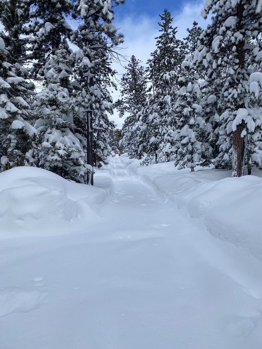 Hopefully I'll find some time early next week to take the Jeep up to Mt. Charleston to play in the snow<a href="/tag/asswednesday"class="tags"><span>#asswednesday</span></a><a href="/tag/anal"class="tags"><span>#anal</span></a><a href="/tag/assfirst"class="tags"><span>#assfirst</span></a>