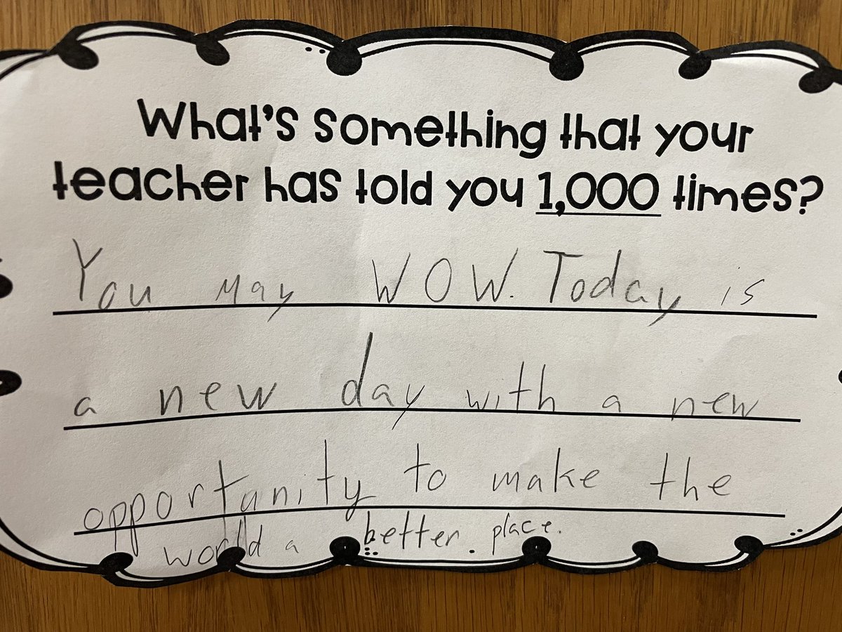 Niki Shafer tweet media