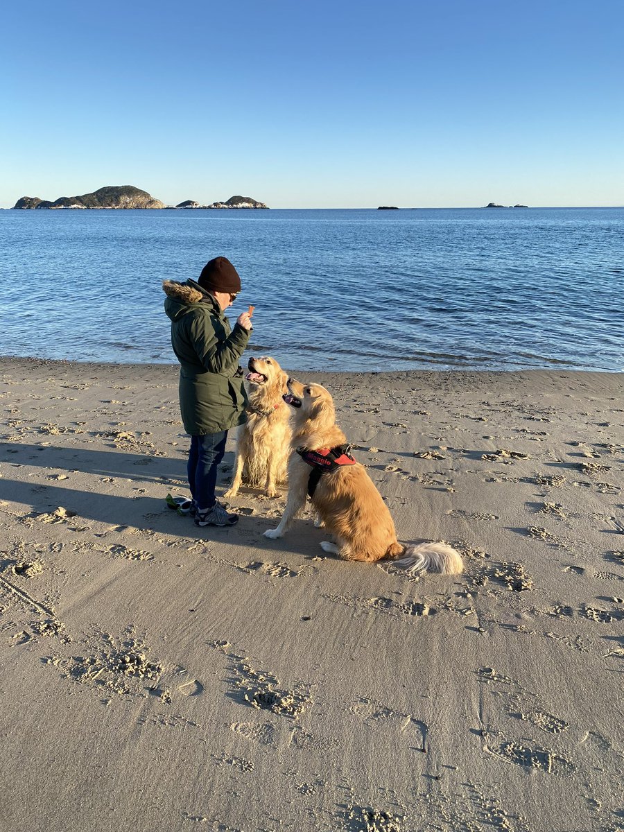 Omg the bestest beach day ever! Mom and Maggie’s mom got together and we had a playdate! We ran, we played and chased each other. Maggie even went overboard to show me how brave she is. We chewed sticks .We got lots of treats and I’m just the happiest boy. Life of Chum.