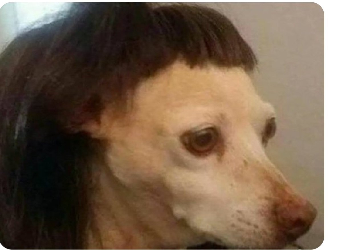 CajaManual's tweet image. #AlertaFlequillo