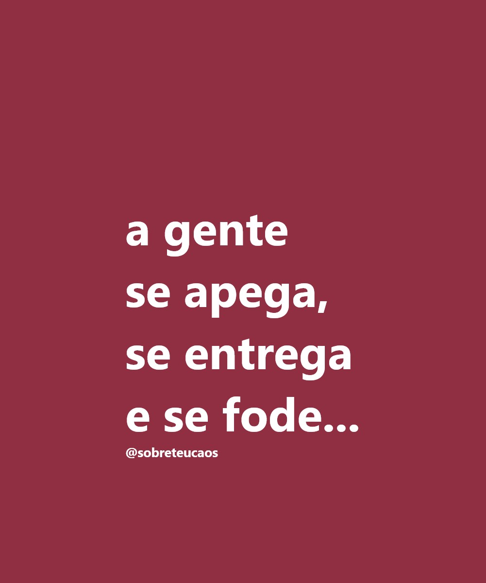 teu caos tweet media