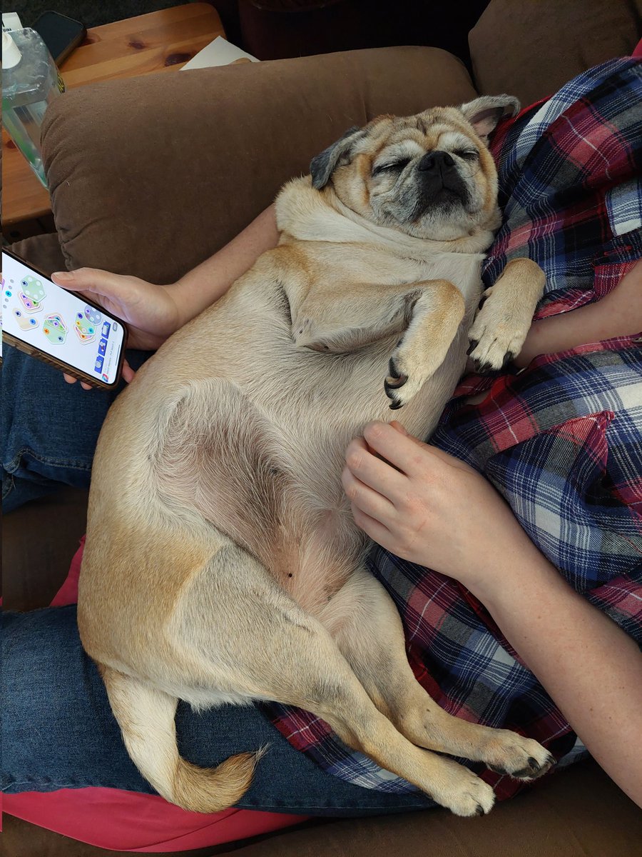 BlackCheckShirt tweet media