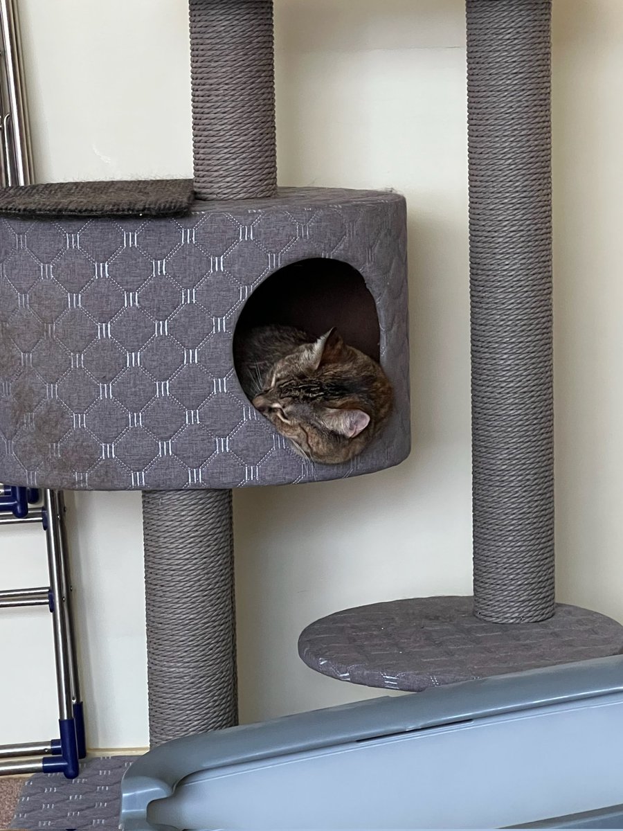 BlackCheckShirt tweet media