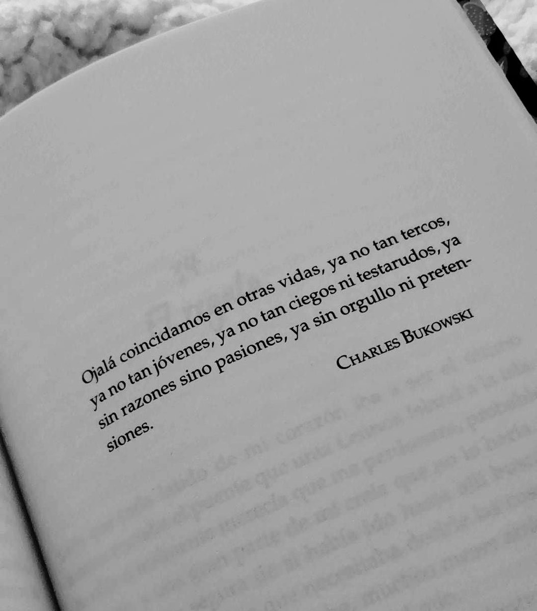 Cementedelibros's tweet photo. Ojalá coincidamos…
#cementeridelibros https://t.co/WKdhPmFxSt