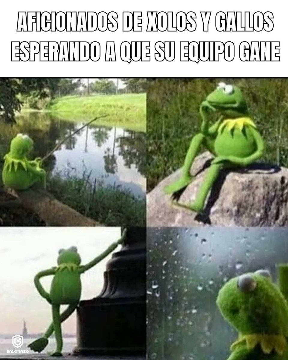 NO LE GANAN A NADIE 🥲🐶🐔

Tijuana y Querétaro empataron a un gol y ambos suman 6 partidos sin conocer la victoria 

#Tijuana #Querétaro #Futbol #LigaMX #México #TerritotioBalonazo