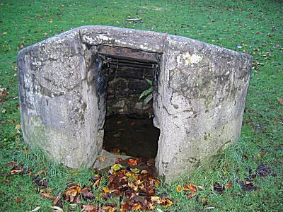 lorraineelizab6's tweet photo. 10 Feb: St Crónán/Mochua of Glais Mór/#Clashmore📷, #Waterford & Less Mór/#Lismore. 6/7th C. Martyred by Danes at Swords, Dublin? (Colgan); O'Hanlon thinks this is another. Holy well dedicated to him in Clashmore. Site 19th C distillery, later for bread. Unique it crosses river. https://t.co/nksBoXPENl