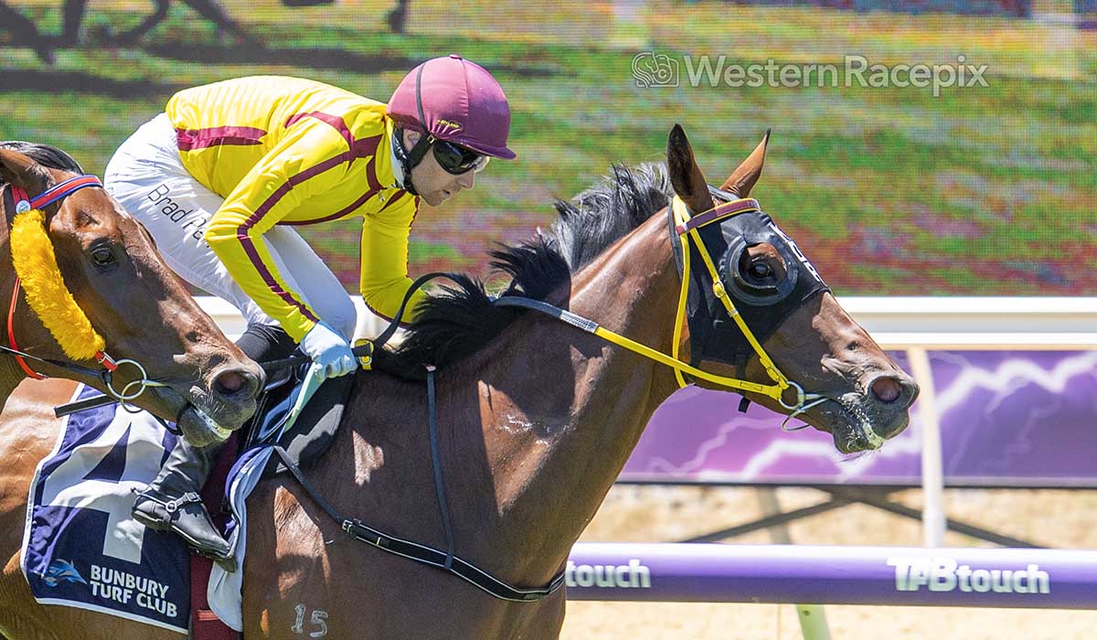 Western Racepix tweet media