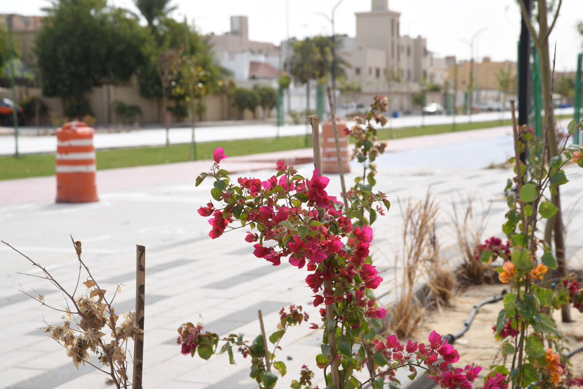 khuleef's tweet image. #محافظة_القطيف