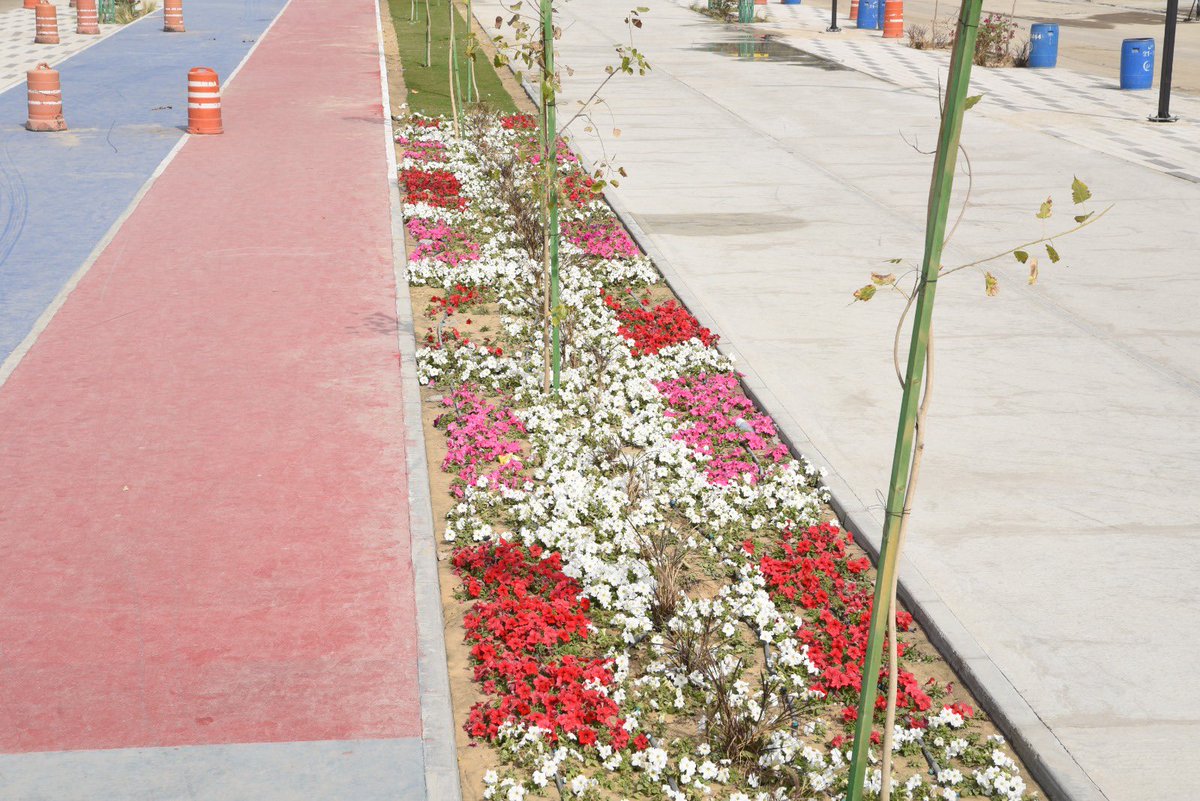 khuleef's tweet image. #محافظة_القطيف