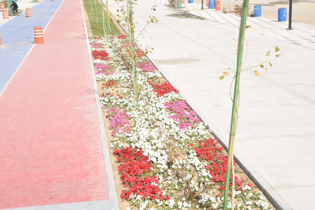 khuleef's tweet image. #محافظة_القطيف