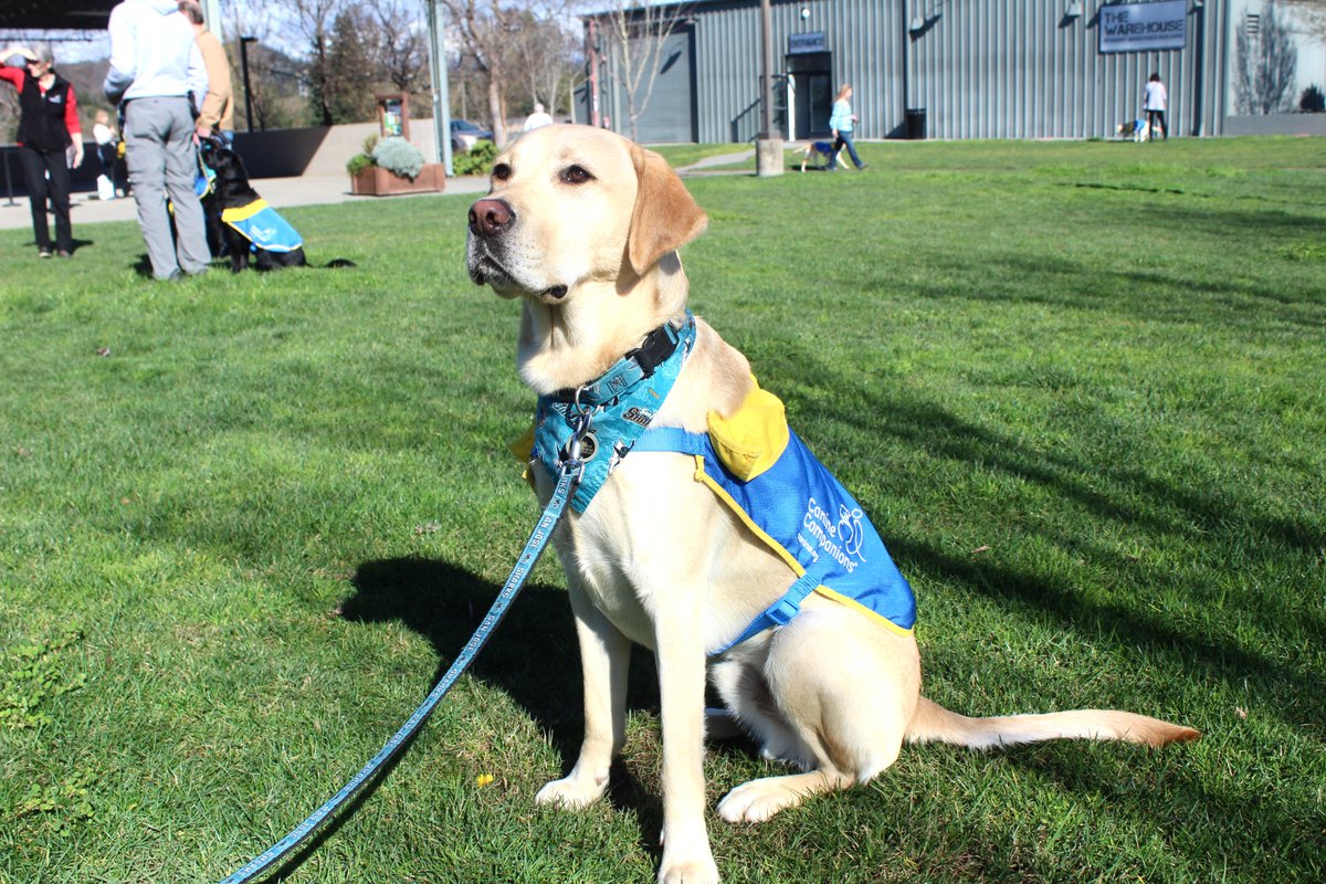 San Jose Sharks tweet media