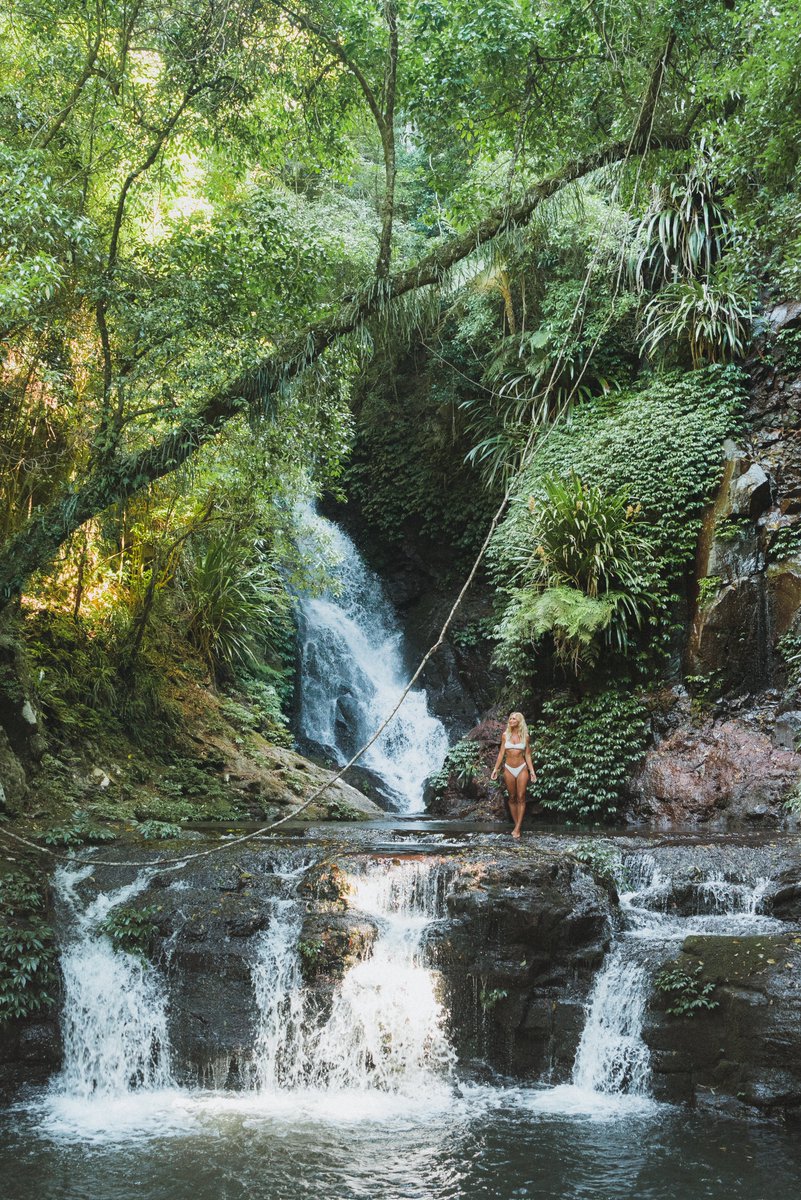 Elabana Falls!
Lace up your hiking shoes for a scenic 3-4 hour walk
along the Box Forest Circuit, nestled in the heart of
Lamington National Park.
GOLD COAST
@saltyluxe   
#ElabanaFalls #hikingshoes #scenicwalk #LamingtonNationalPark #GoldCoast