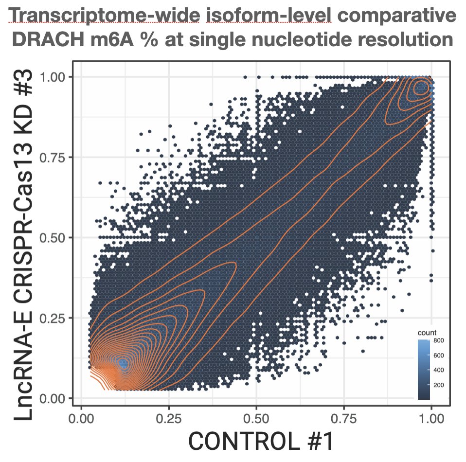 martinalexsmith's tweet photo. Here's a teaser for my @nanopore workshop presentation at #LorneCancer at 2:30 pm today: Dozens of new lncRNAs in well-studied pediatric leukemias, many essential for cancer cell survival, potential association with global regulation of m6A methylation. https://t.co/wZGnwe3NTE