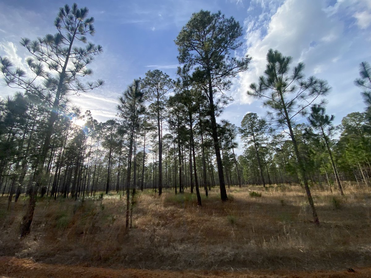 UAH SWIRLL tweet media