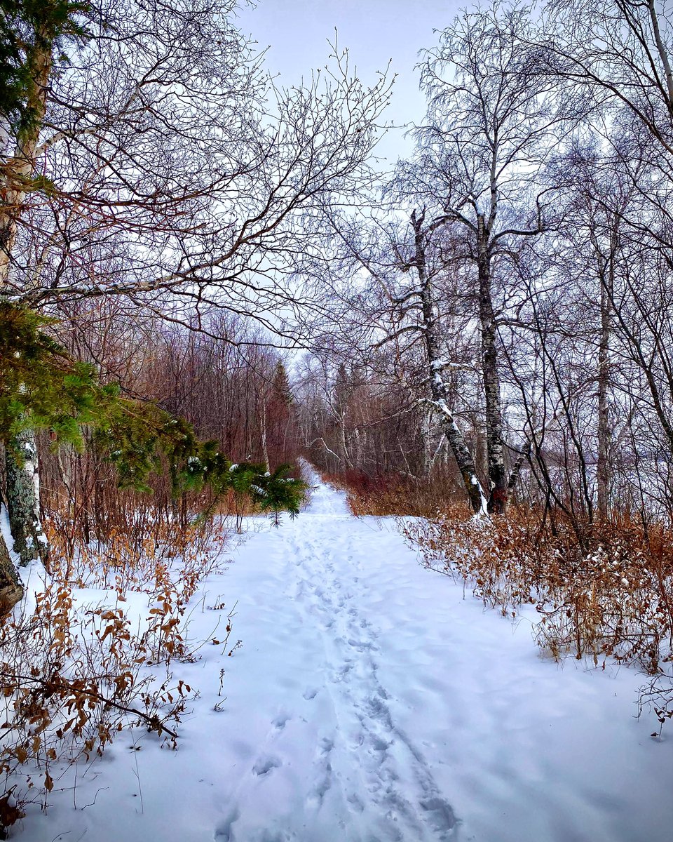 It was too nice of an afternoon to stay indoors. Definitely love these kinds of trails. #explore #outdoors #naturelover #nature_brilliance #nature_perfection #natureza #woods #outwalking #winter #snowytrails