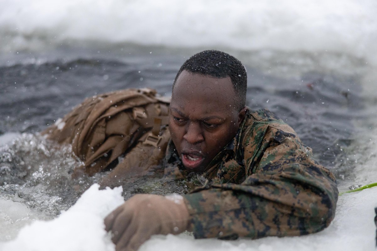 DeptofWar's tweet photo. Chilling dedication! ❄️ Marines of Combat Logistics Battalion 6 dive into the frigid waters during extreme cold weather training in Setermoen, Norway. 

This strengthens U.S. Marine Corps ties with allies through arctic warfare exercises and military engagements. https://t.co/YpcNy1j61i