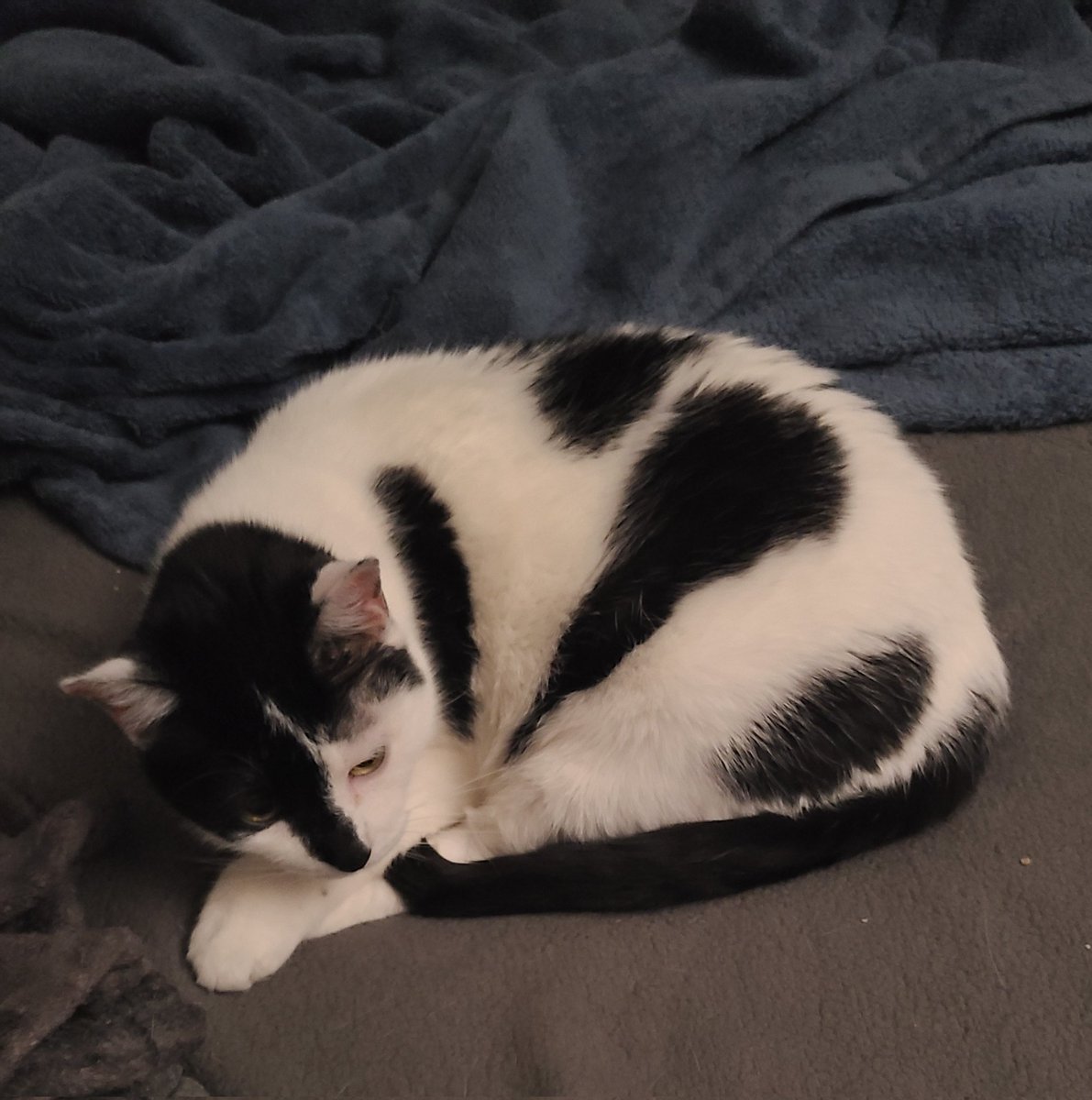 Esza theWorst tweet media