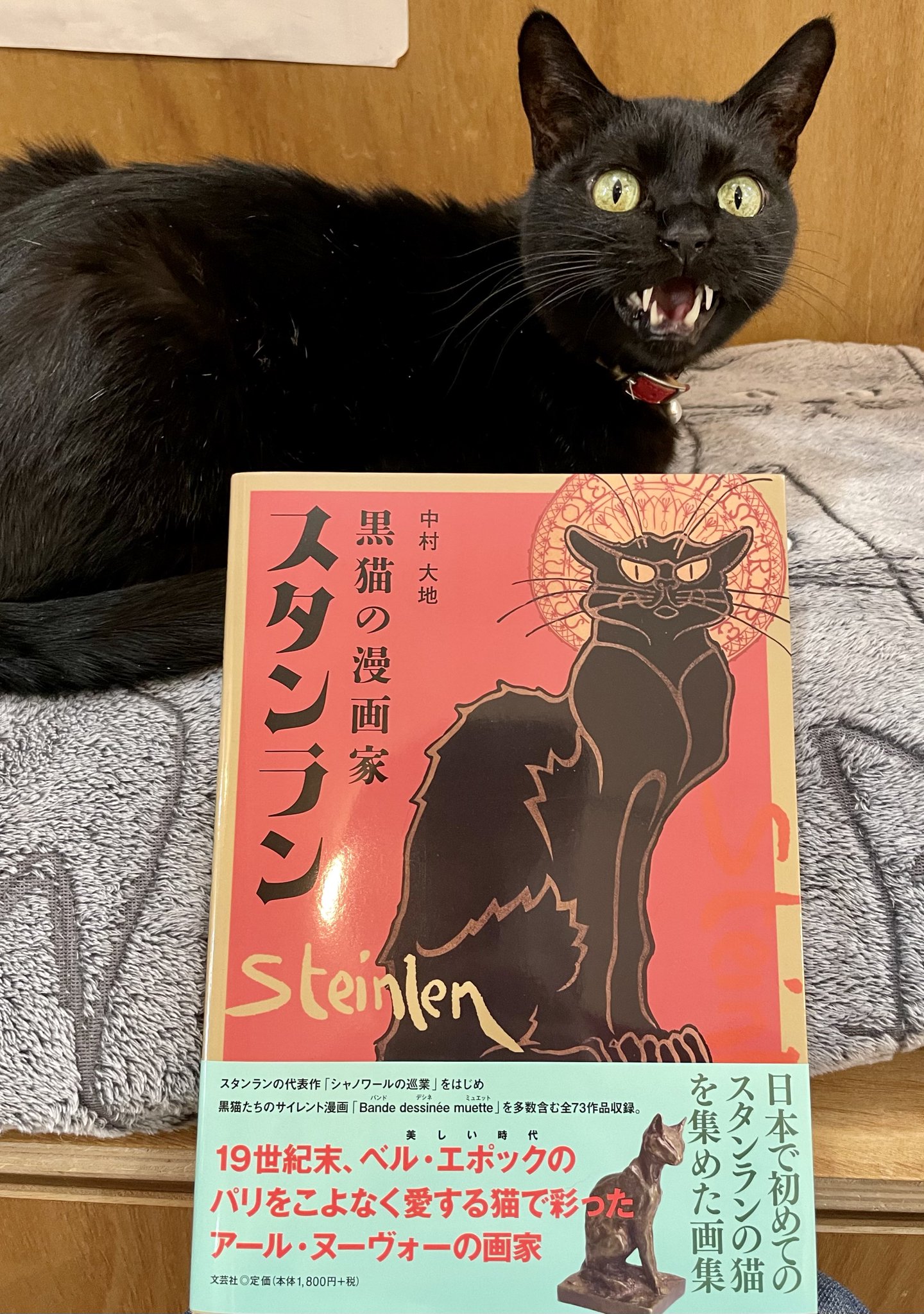 キャッツミャウブックス® on X: 