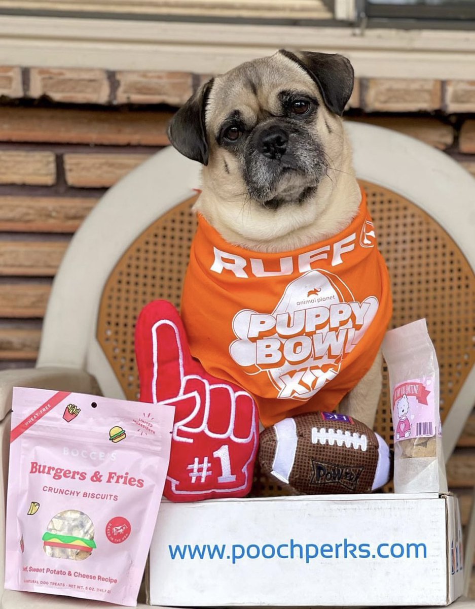 Puppy Bowl is almost here 👏!! The 20th anniversary of #PuppyBowl is this Sunday February 11 at 2pm ET on <a href="/AnimalPlanet/">Animal Planet</a> ! Get the official themed dog box @ poochperks.com 🧡💙🐶
🐕: @rumithewhirlingpuggle
