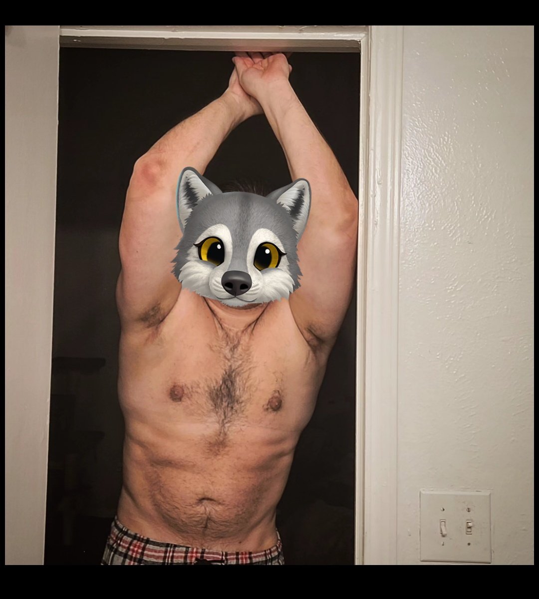 CloversDen's tweet photo. Not a bad start to 2024~
#FitnessJourney2024 #205lbs
#BoxingDog https://t.co/OLYQqBXxRg